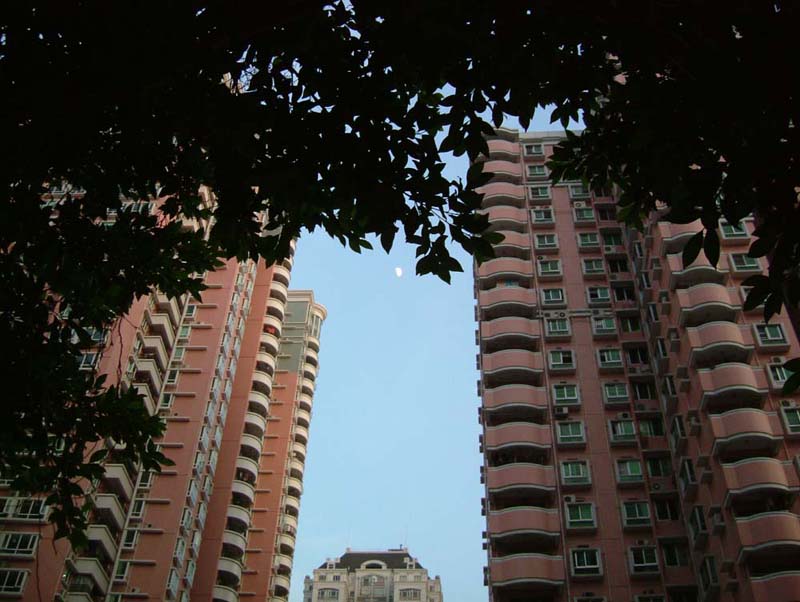 2004727111064268.jpg