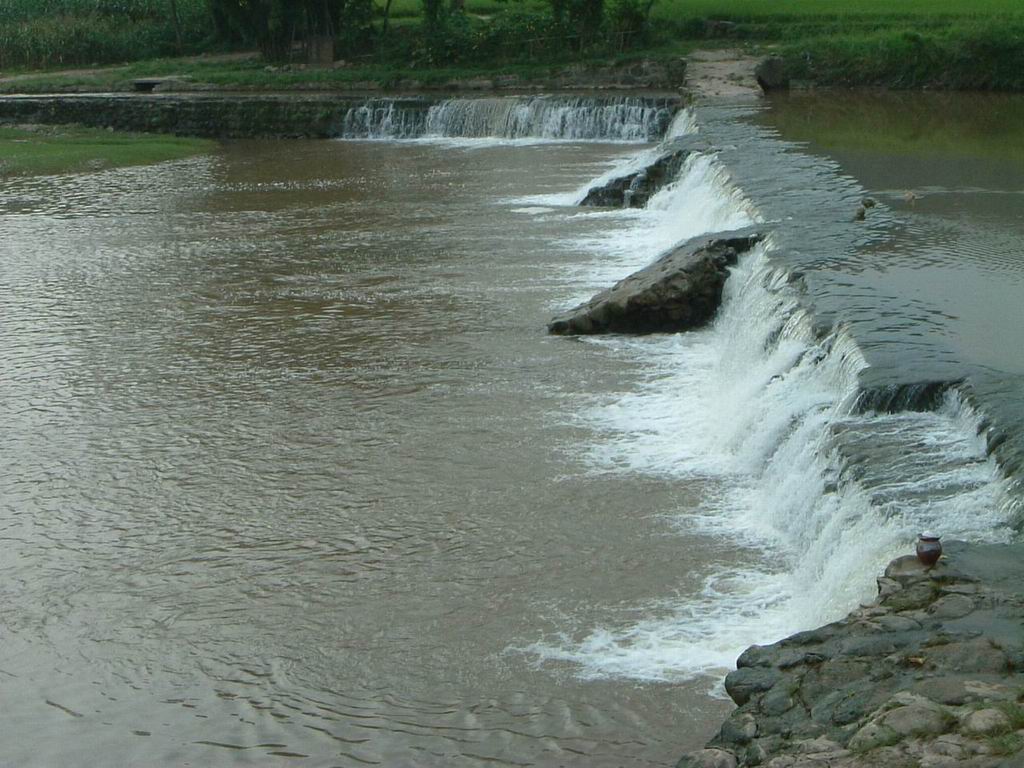 20048210272065726.jpg