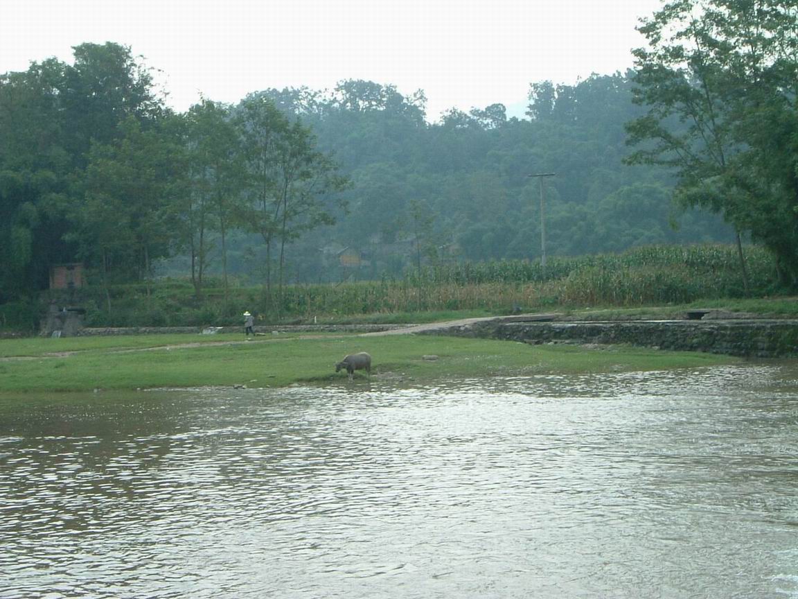 20048210293191644.jpg