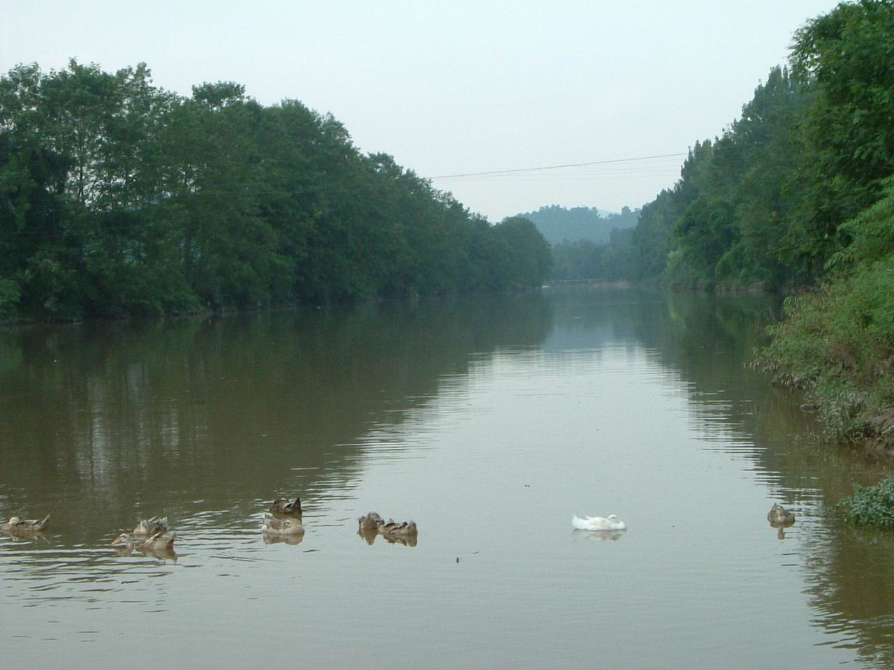 2004821029643639.jpg