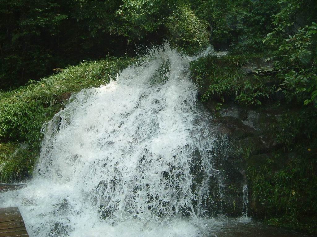 20048210384434646.jpg
