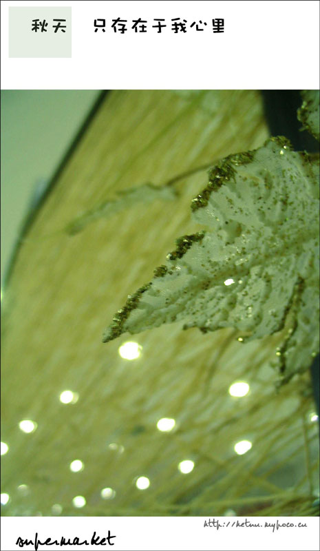 20049121113472097.jpg