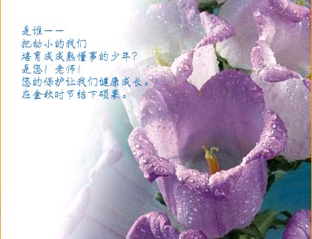 2004992045941461.jpg