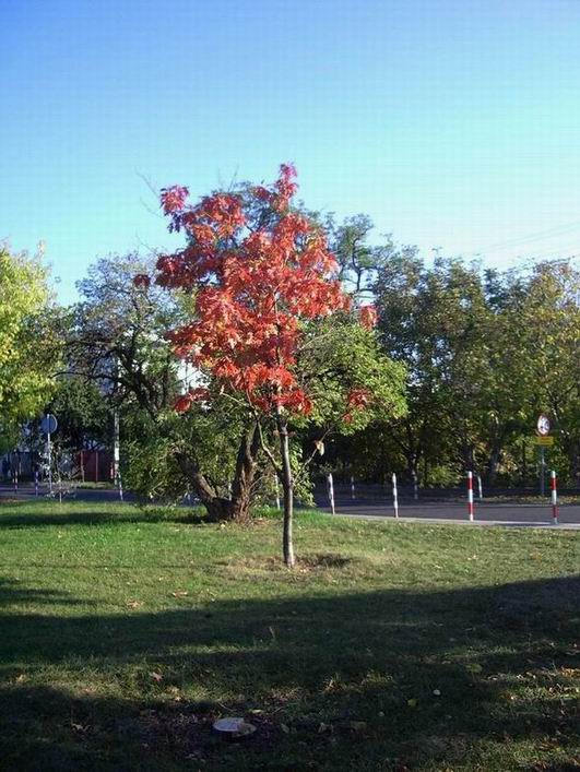 2005-10/200510120485795704.jpg