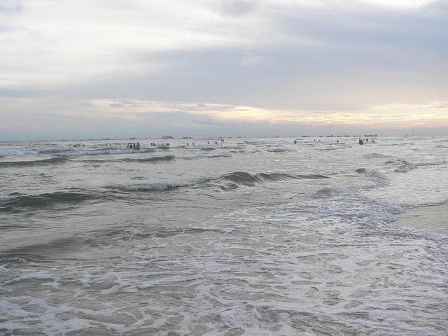 2005-8/200581121584975122.jpg