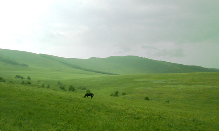 2005-8/200582011282592677.jpg