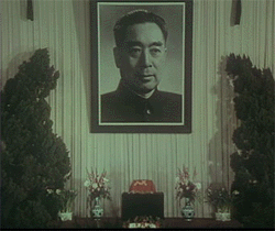 200511118271933694.gif