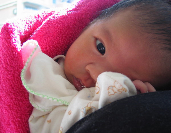2005111514458016.jpg