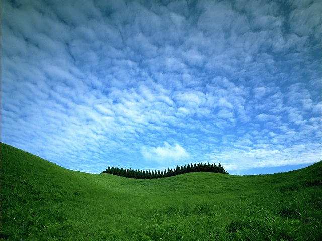 200511916431156875.jpg