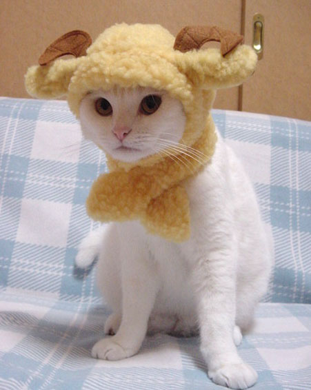 20051261544163809.jpg