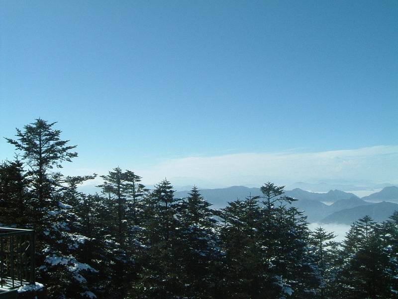 2005132281451506.jpg