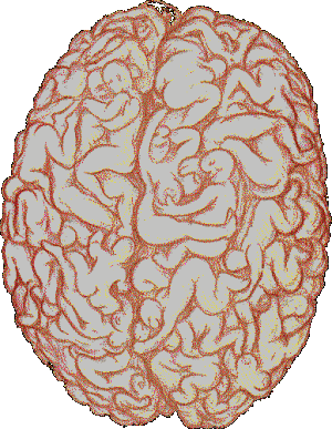 200514220081601.gif