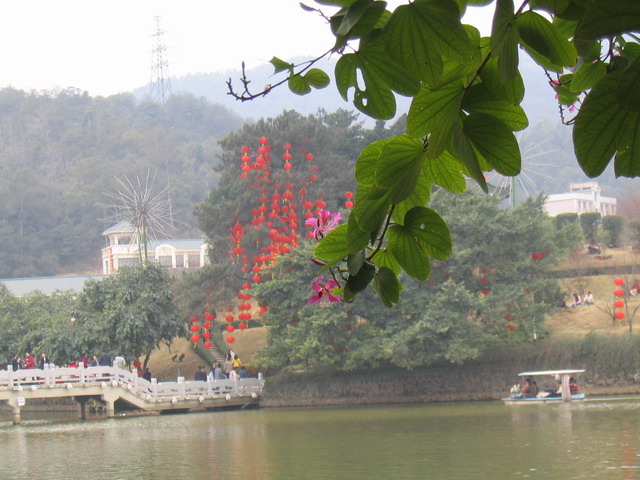 200521423594255333.jpg