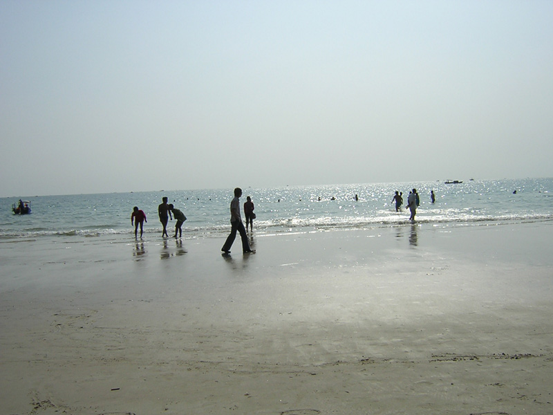 20052231335434809.jpg