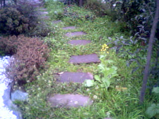 20052271573140688.jpg
