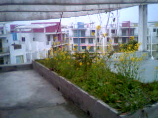 20052271574942616.jpg