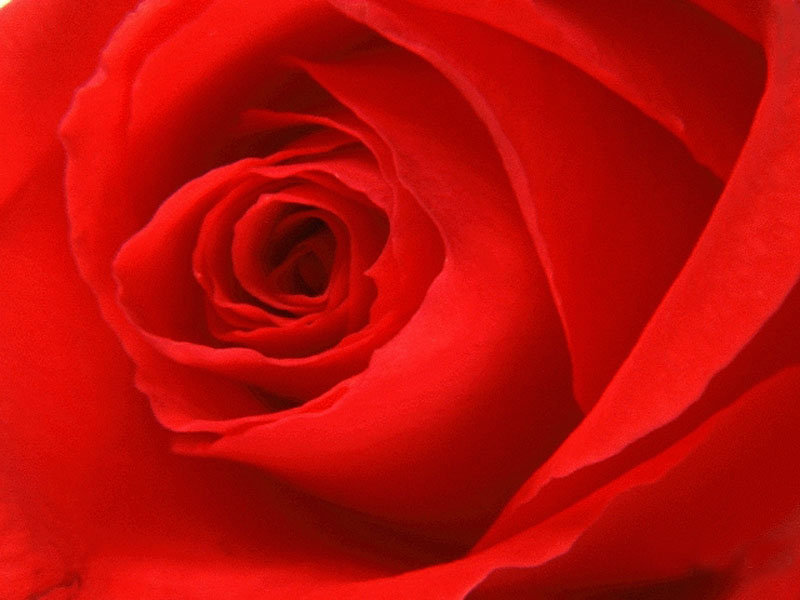 20052519414010973.jpg
