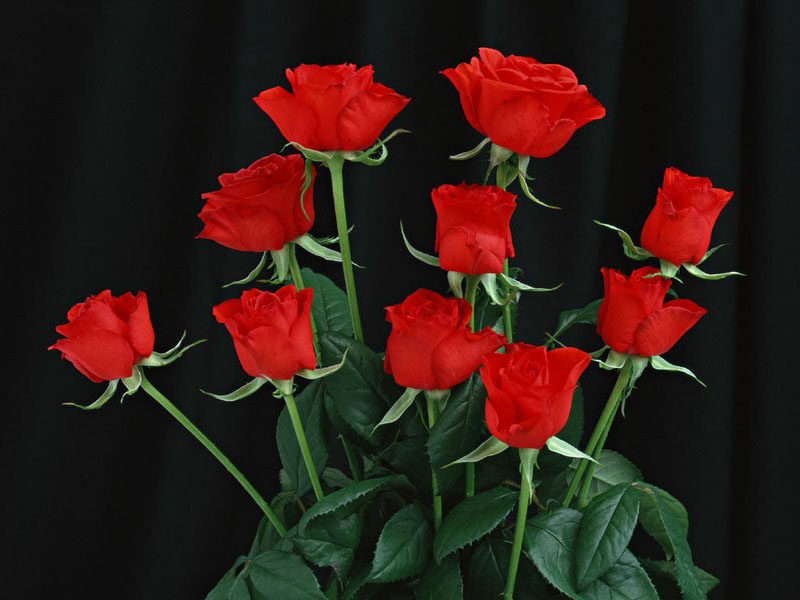 2005251942393159.jpg