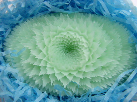 20052617371317275.jpg