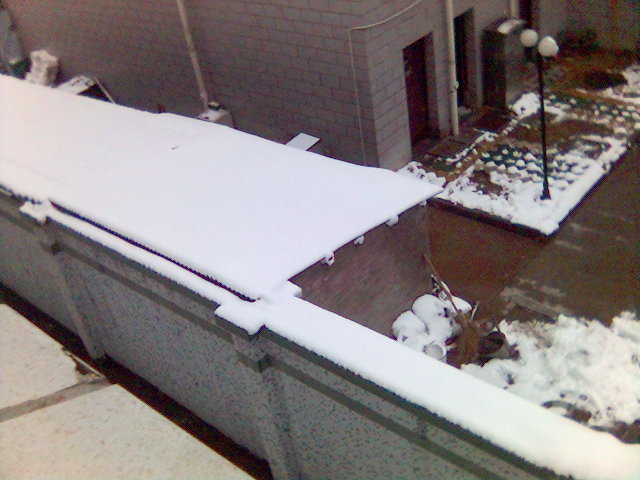 200531218434965944.jpg