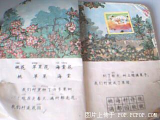 200532222364311860.jpg