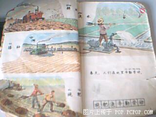 200532222394745400.jpg
