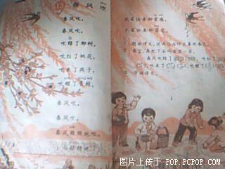 200532222473470826.jpg