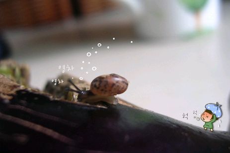 20053271821282256.jpg