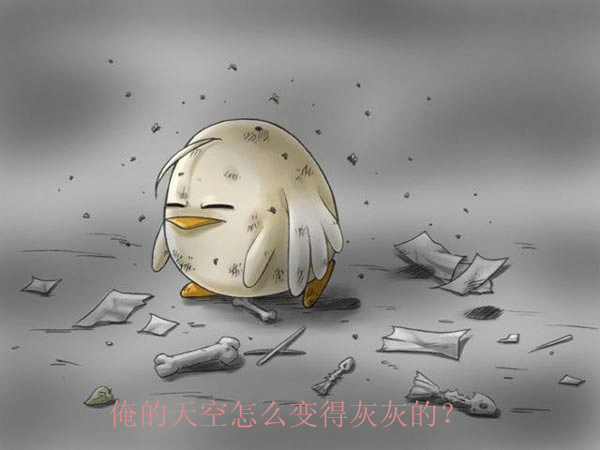 200532910322013305.gif