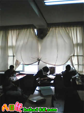 2005333403417125.jpg
