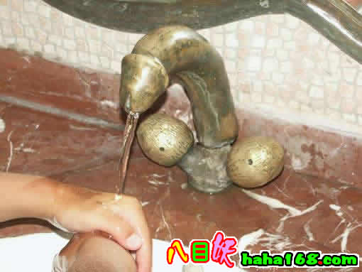 2005333451026795.jpg