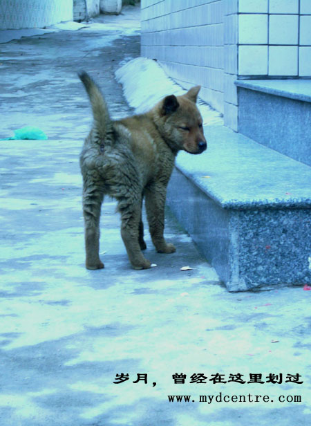 20053811163262729.jpg