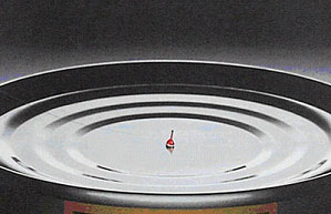 2005451554465587.jpg