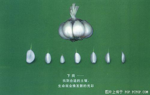 20054613345697239.jpg