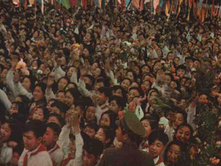 2005511124659374.gif