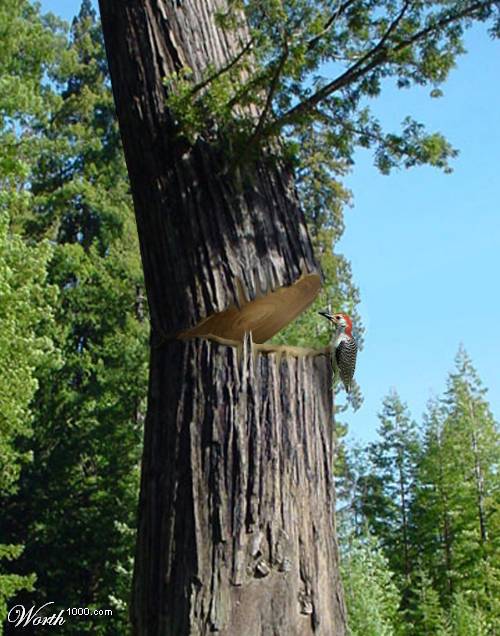 200551318561359391.jpg
