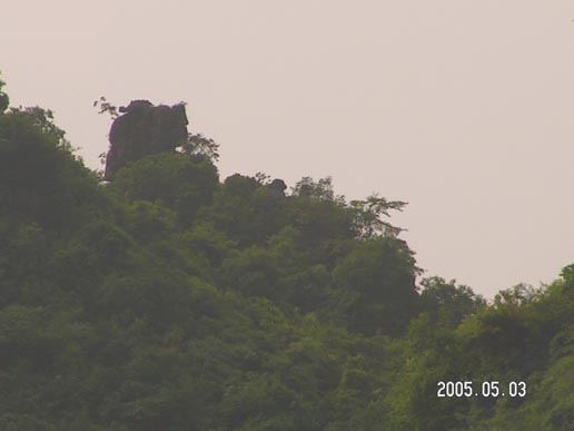 2005522057837738.jpg