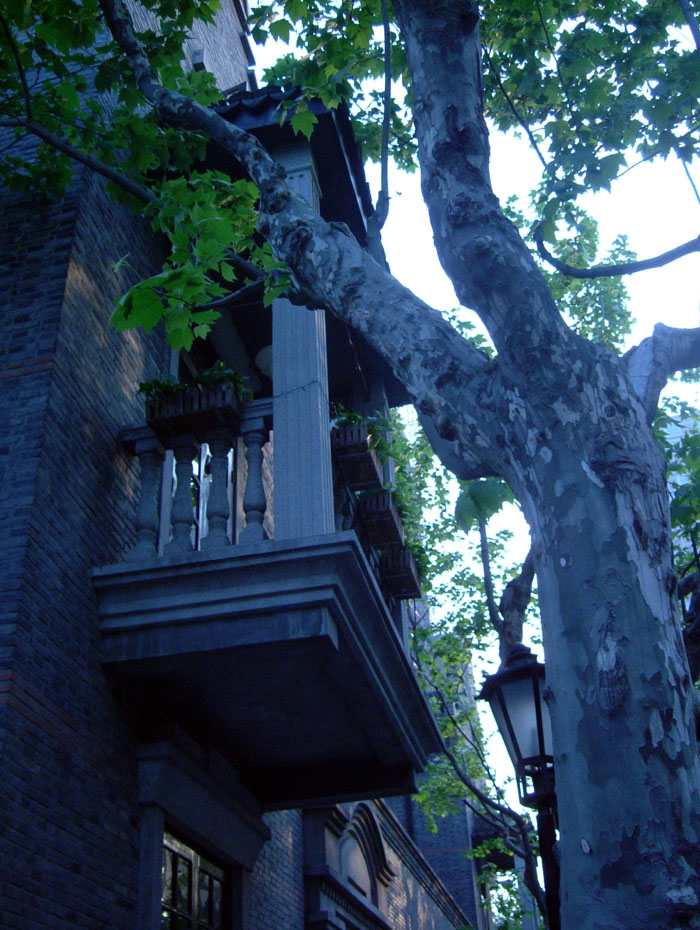 2005551161075726.jpg