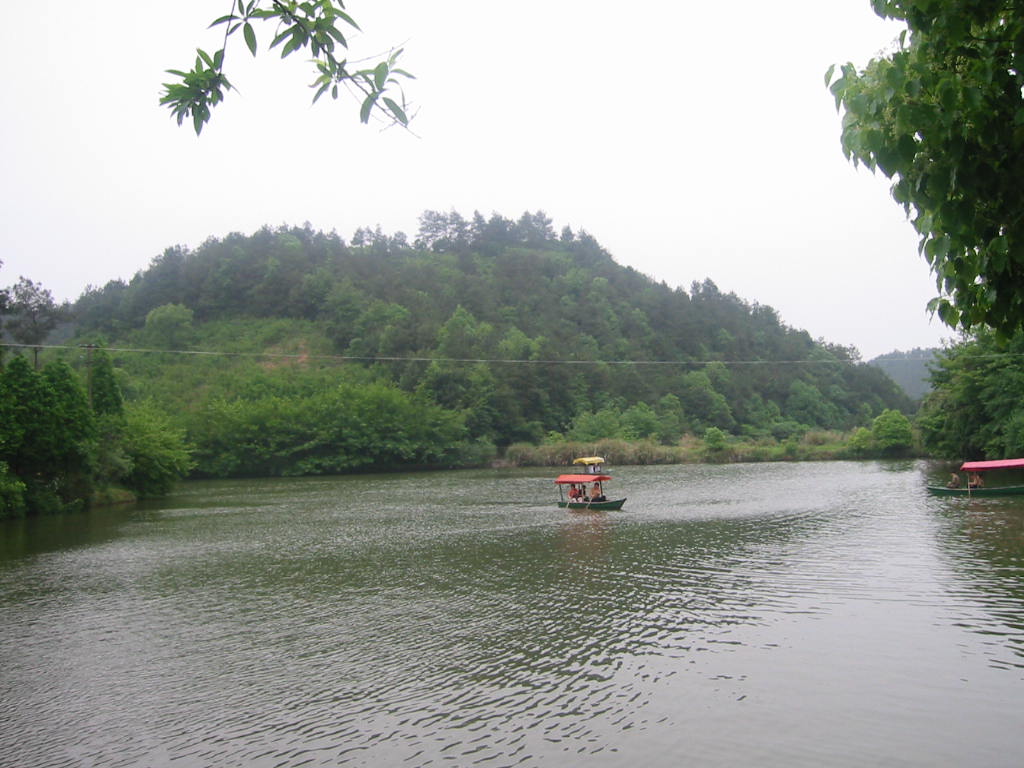 2005561945791711.jpg
