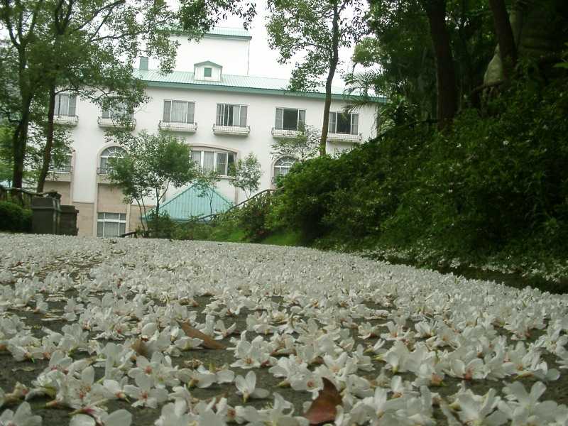 2005591115033066.jpg