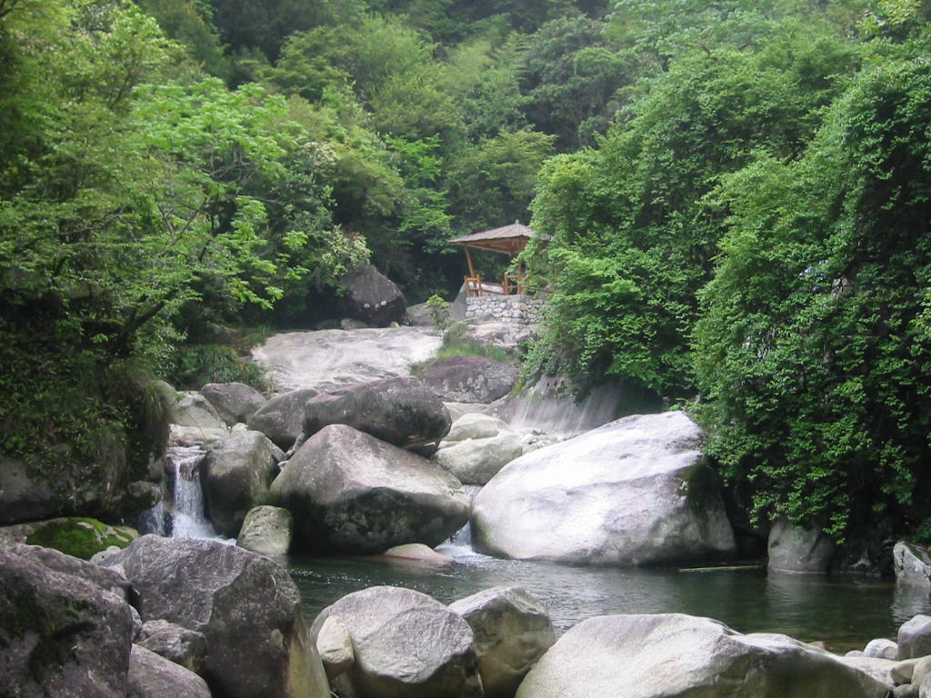 20055918483784716.jpg