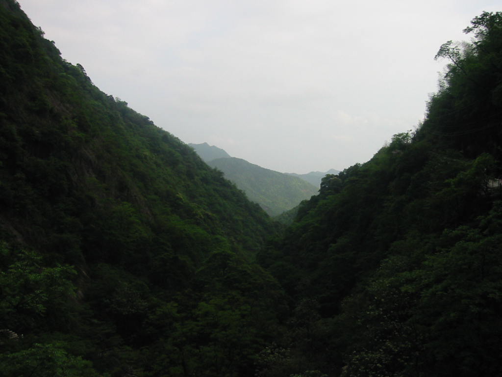 20055918502724335.jpg