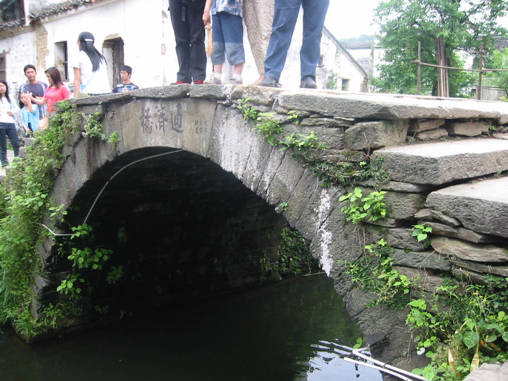 2005591914493350.jpg