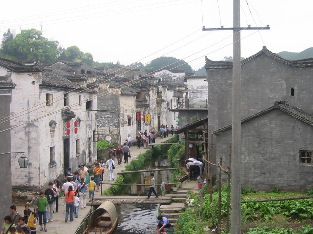 2005591922954711.jpg