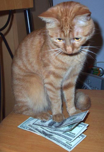 2005599581584035.jpg
