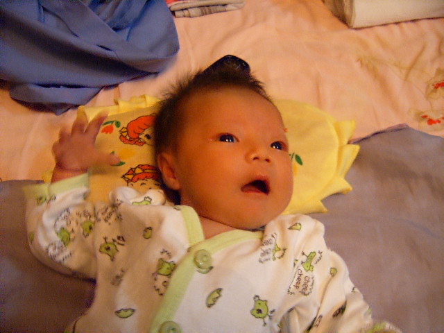 20056110423935306.jpg