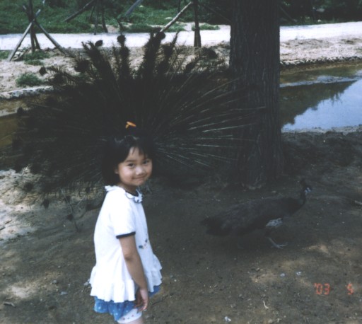20056112384167595.jpg