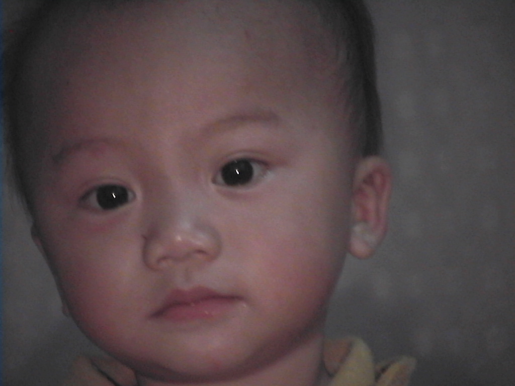 20056112465568125.jpg
