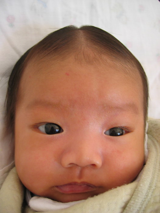 20056112553433658.jpg