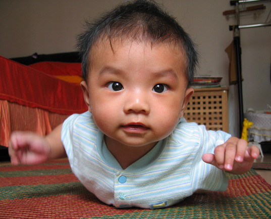 2005613050857231.jpg